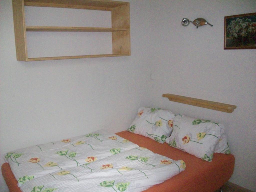 Appartements Renate Kirchberg in Tirol Dış mekan fotoğraf